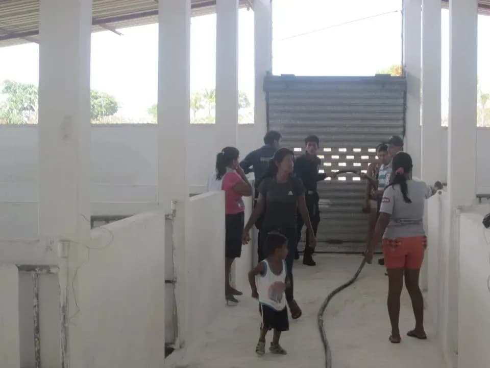 Cena show para 10.000 personas en Pedro Carbo