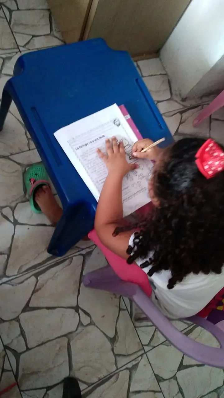 Fundación LIRES apoya educación en Isla Trinitaria